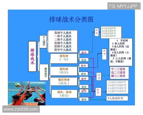上海排球队转换体系的战术分析与实战应用探讨