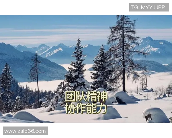 杭州篮球队团队协作能力创新高引发热议成就新里程碑