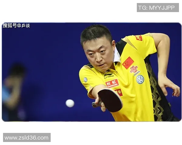 武汉乒乓球队的节奏分析与未来发展方向探讨