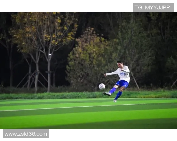 足球明星之家在线观看带你领略球场传奇与明星生活的精彩瞬间