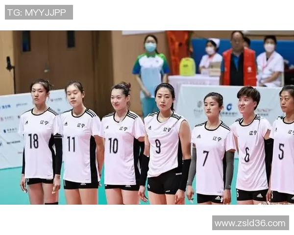 上海排球队战术引发热议球迷与专家观点交锋分析