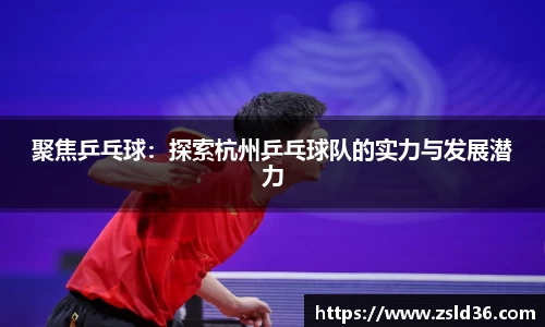 聚焦乒乓球：探索杭州乒乓球队的实力与发展潜力