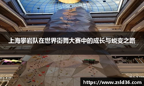 上海攀岩队在世界街舞大赛中的成长与蜕变之路