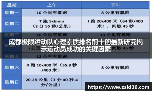 成都极限运动队心理素质排名前十的最新研究揭示运动员成功的关键因素