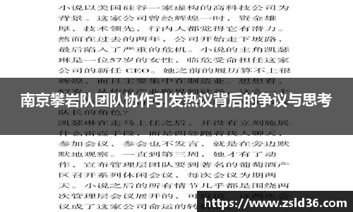 南京攀岩队团队协作引发热议背后的争议与思考