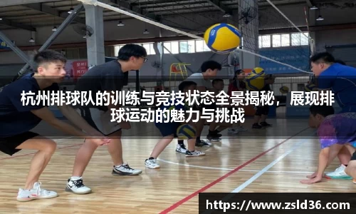 杭州排球队的训练与竞技状态全景揭秘，展现排球运动的魅力与挑战