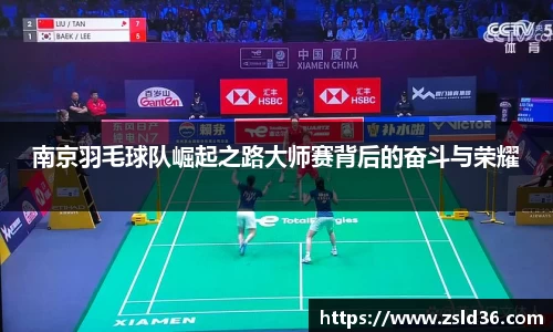 南京羽毛球队崛起之路大师赛背后的奋斗与荣耀