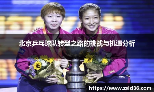 北京乒乓球队转型之路的挑战与机遇分析