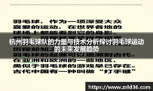 杭州羽毛球队的力量与技术分析探讨羽毛球运动的未来发展趋势