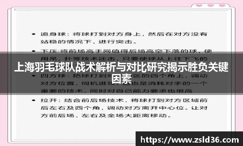 上海羽毛球队战术解析与对比研究揭示胜负关键因素