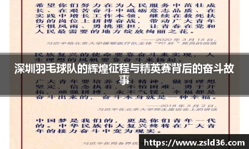 深圳羽毛球队的辉煌征程与精英赛背后的奋斗故事