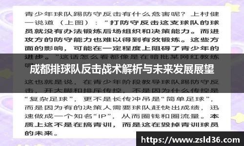 成都排球队反击战术解析与未来发展展望