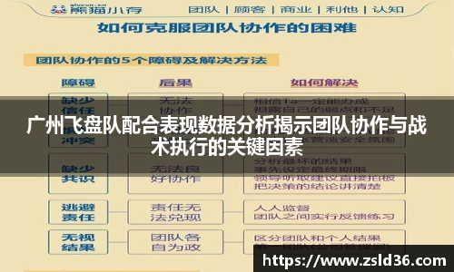 广州飞盘队配合表现数据分析揭示团队协作与战术执行的关键因素